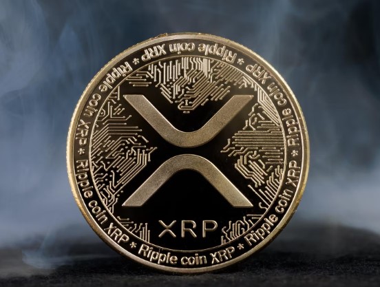 xrp是什么币？xrp代币经济学与未来介绍