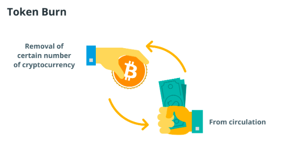代币销毁影响分析